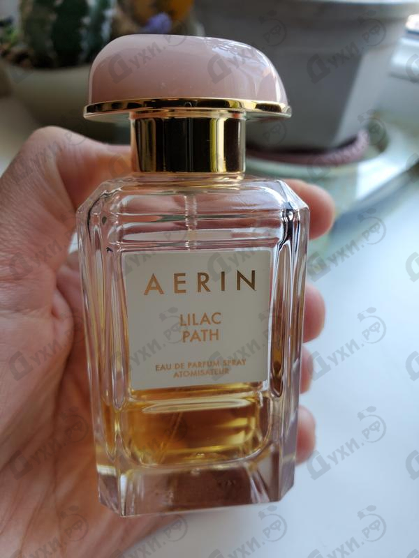aerin lilac path